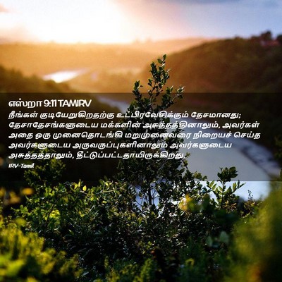 Picture 02 - எஸ்றா 9:11 TAMIRV - நீங்கள் - Bible Verse Picture