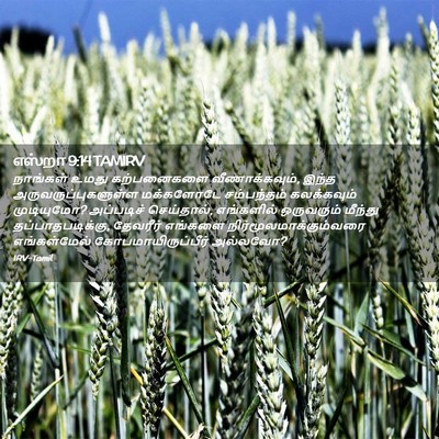 Picture 02 - எஸ்றா 9:14 TAMIRV - நாங்கள் உமது - Bible Verse Picture