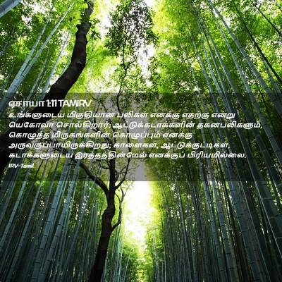 Picture 02 - ஏசாயா 1:11 TAMIRV - உங்களுடைய - Bible Verse Picture