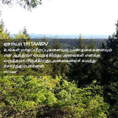 Picture 02 - ஏசாயா 1:14 TAMIRV - உங்கள் - Bible Verse Picture