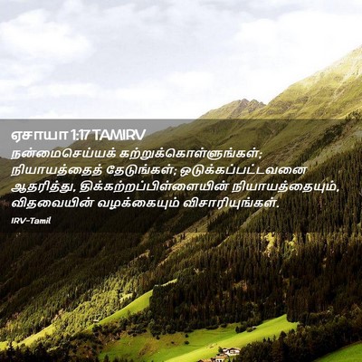 Picture 02 - ஏசாயா 1:17 TAMIRV - நன்மைசெய்யக் - Bible Verse Picture