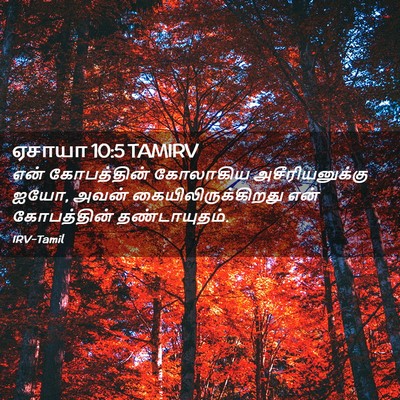 Picture 02 - ஏசாயா 10:5 TAMIRV - என் கோபத்தின் - Bible Verse Picture
