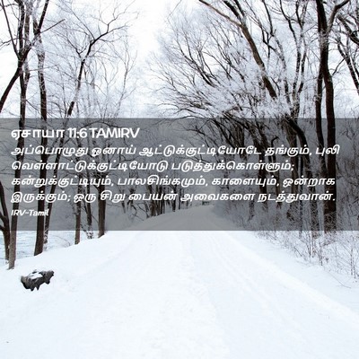 Picture 02 - ஏசாயா 11:6 TAMIRV - அப்பொழுது ஓனாய் - Bible Verse Picture