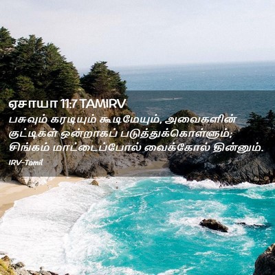 Picture 02 - ஏசாயா 11:7 TAMIRV - பசுவும் கரடியும் - Bible Verse Picture