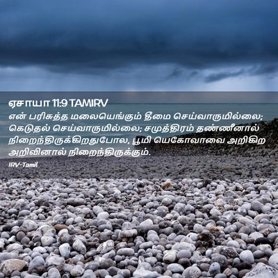 Picture 02 - ஏசாயா 11:9 TAMIRV - என் பரிசுத்த - Bible Verse Picture