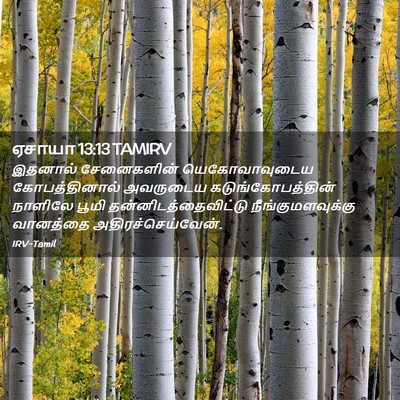 Picture 02 - ஏசாயா 13:13 TAMIRV - இதனால் சேனைகளின் - Bible Verse Picture