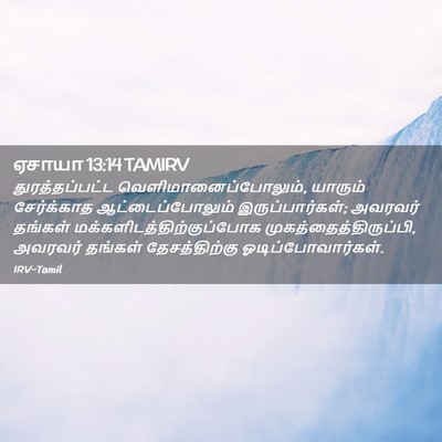 Picture 02 - ஏசாயா 13:14 TAMIRV - துரத்தப்பட்ட - Bible Verse Picture