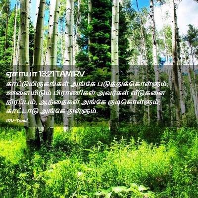 Picture 02 - ஏசாயா 13:21 TAMIRV - காட்டுமிருகங்கள் - Bible Verse Picture