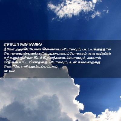 Picture 02 - ஏசாயா 14:19 TAMIRV - நீயோ அழுகிப்போன - Bible Verse Picture