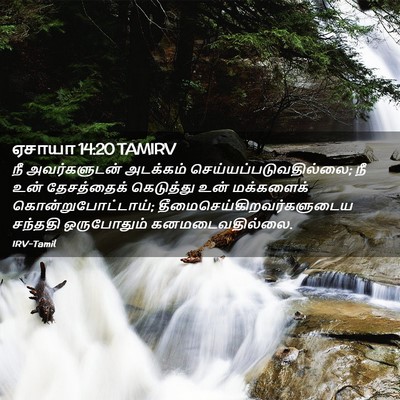 Picture 02 - ஏசாயா 14:20 TAMIRV - நீ அவர்களுடன் - Bible Verse Picture