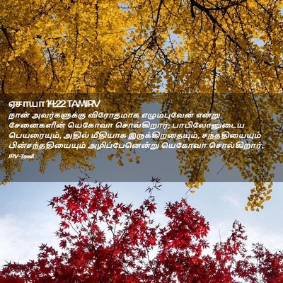 Picture 02 - ஏசாயா 14:22 TAMIRV - நான் அவர்களுக்கு - Bible Verse Picture
