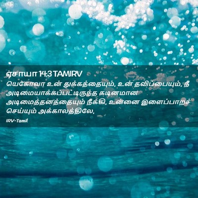 Picture 02 - ஏசாயா 14:3 TAMIRV - யெகோவா உன் - Bible Verse Picture