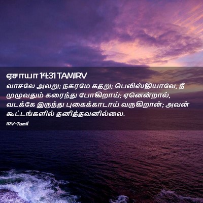 Picture 02 - ஏசாயா 14:31 TAMIRV - வாசலே அலறு; நகரமே - Bible Verse Picture