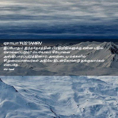 Picture 02 - ஏசாயா 14:32 TAMIRV - இப்போதும் - Bible Verse Picture