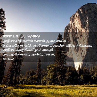 Picture 02 - ஏசாயா 15:3 TAMIRV - அதின் வீதிகளில் - Bible Verse Picture