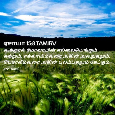 Picture 02 - ஏசாயா 15:8 TAMIRV - கூக்குரல் - Bible Verse Picture