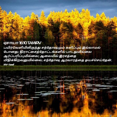 Picture 02 - ஏசாயா 16:10 TAMIRV -  - Bible Verse Picture
