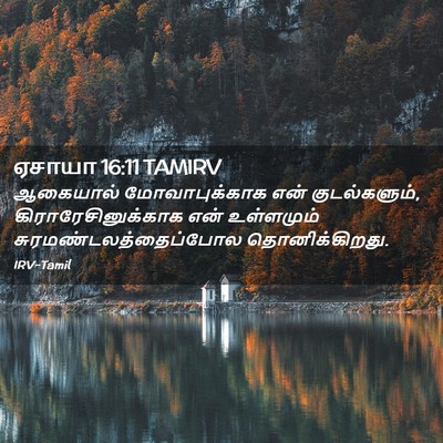 Picture 02 - ஏசாயா 16:11 TAMIRV - ஆகையால் - Bible Verse Picture