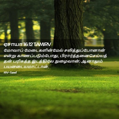 Picture 02 - ஏசாயா 16:12 TAMIRV - மோவாப் - Bible Verse Picture
