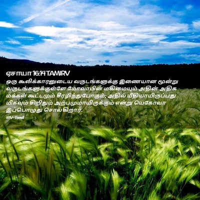 Picture 02 - ஏசாயா 16:14 TAMIRV - ஒரு - Bible Verse Picture