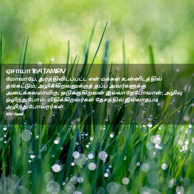 Picture 02 - ஏசாயா 16:4 TAMIRV - மோவாபே, - Bible Verse Picture