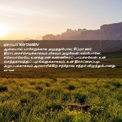 Picture 02 - ஏசாயா 16:9 TAMIRV - ஆகையால் - Bible Verse Picture