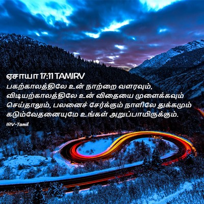 Picture 02 - ஏசாயா 17:11 TAMIRV - பகற்காலத்திலே உன் - Bible Verse Picture