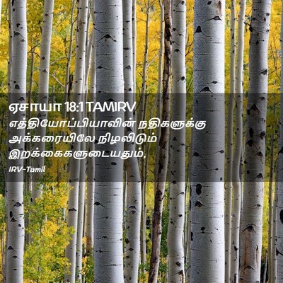 Picture 02 - ஏசாயா 18:1 TAMIRV -  - Bible Verse Picture