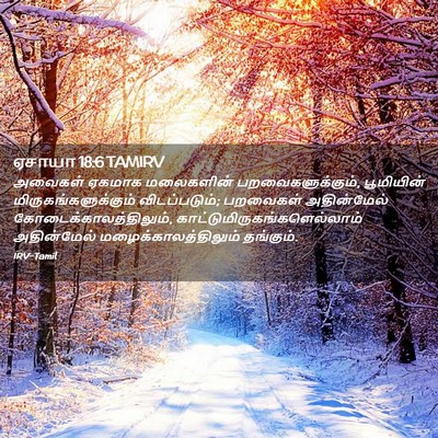 Picture 02 - ஏசாயா 18:6 TAMIRV - அவைகள் ஏகமாக - Bible Verse Picture