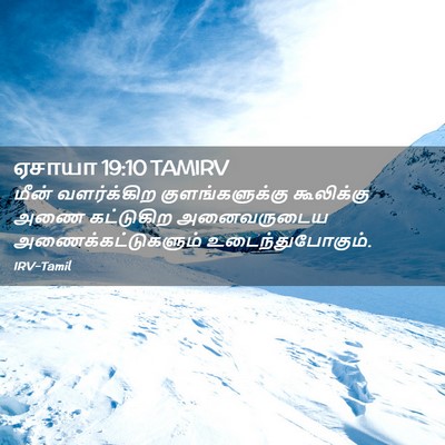Picture 02 - ஏசாயா 19:10 TAMIRV - மீன் வளர்க்கிற - Bible Verse Picture