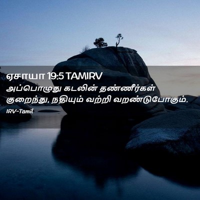 Picture 02 - ஏசாயா 19:5 TAMIRV - அப்பொழுது கடலின் - Bible Verse Picture