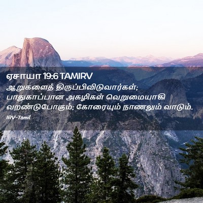 Picture 02 - ஏசாயா 19:6 TAMIRV - ஆறுகளைத் - Bible Verse Picture