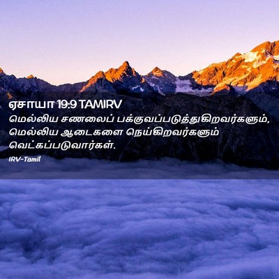 Picture 02 - ஏசாயா 19:9 TAMIRV - மெல்லிய சணலைப் - Bible Verse Picture