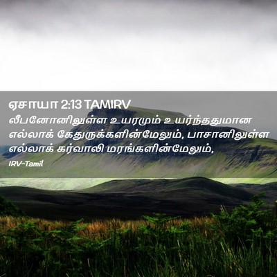Picture 02 - ஏசாயா 2:13 TAMIRV - லீபனோனிலுள்ள - Bible Verse Picture