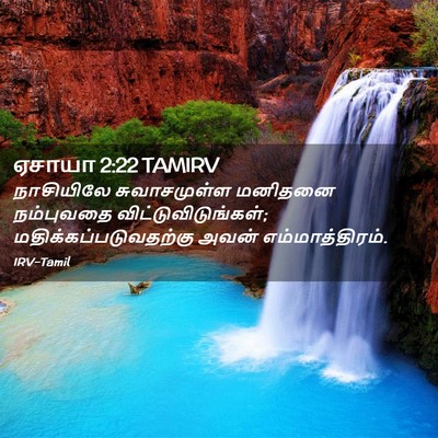 Picture 02 - ஏசாயா 2:22 TAMIRV - நாசியிலே - Bible Verse Picture