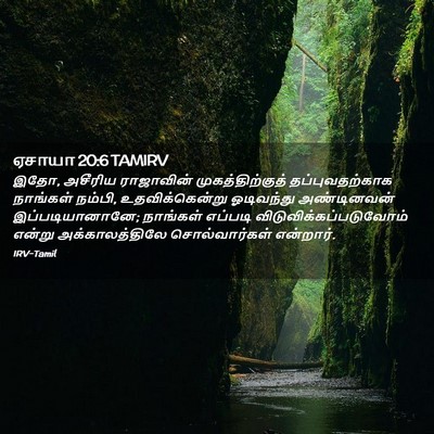 Picture 02 - ஏசாயா 20:6 TAMIRV - இதோ, அசீரிய - Bible Verse Picture
