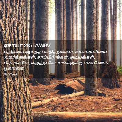Picture 02 - ஏசாயா 21:5 TAMIRV - பந்தியை - Bible Verse Picture