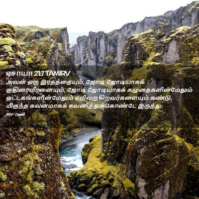 Picture 02 - ஏசாயா 21:7 TAMIRV - அவன் ஒரு - Bible Verse Picture