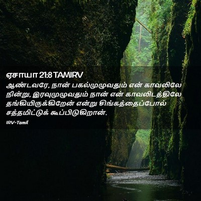 Picture 02 - ஏசாயா 21:8 TAMIRV - ஆண்டவரே, நான் - Bible Verse Picture
