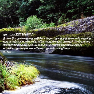 Picture 02 - ஏசாயா 22:11 TAMIRV - இரண்டு - Bible Verse Picture