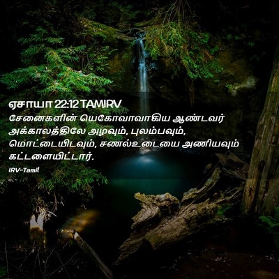 Picture 02 - ஏசாயா 22:12 TAMIRV - சேனைகளின் - Bible Verse Picture