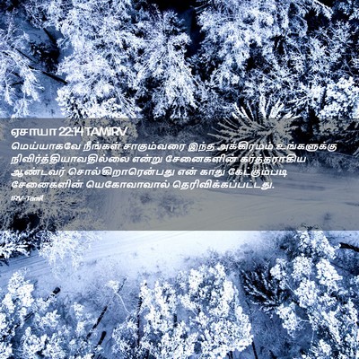 Picture 02 - ஏசாயா 22:14 TAMIRV - மெய்யாகவே நீங்கள் - Bible Verse Picture