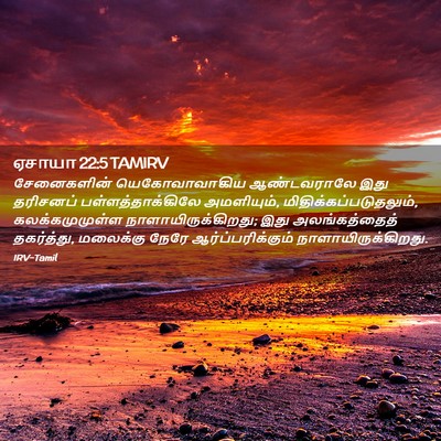 Picture 02 - ஏசாயா 22:5 TAMIRV - சேனைகளின் - Bible Verse Picture