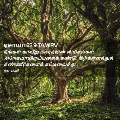 Picture 02 - ஏசாயா 22:9 TAMIRV - நீங்கள் தாவீது - Bible Verse Picture