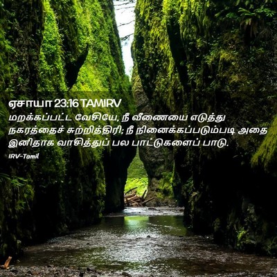 Picture 02 - ஏசாயா 23:16 TAMIRV - மறக்கப்பட்ட - Bible Verse Picture
