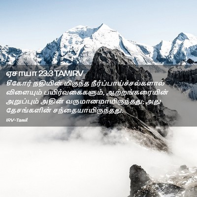 Picture 02 - ஏசாயா 23:3 TAMIRV - சீகோர் நதியின் - Bible Verse Picture