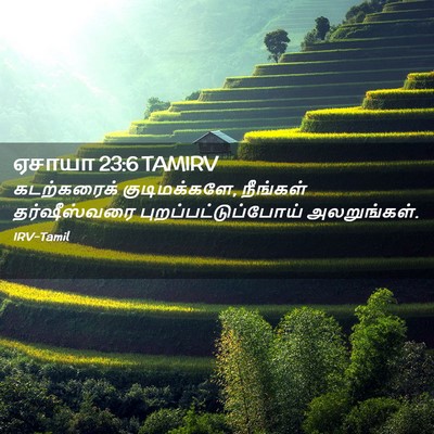 Picture 02 - ஏசாயா 23:6 TAMIRV - கடற்கரைக் - Bible Verse Picture