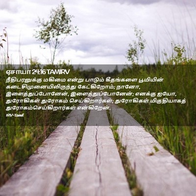 Picture 02 - ஏசாயா 24:16 TAMIRV - நீதிபரனுக்கு - Bible Verse Picture