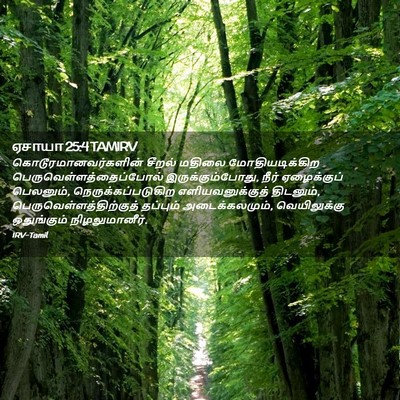 Picture 02 - ஏசாயா 25:4 TAMIRV - கொடூரமானவர்களின் - Bible Verse Picture