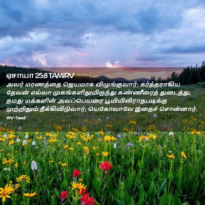Picture 02 - ஏசாயா 25:8 TAMIRV - அவர் மரணத்தை - Bible Verse Picture